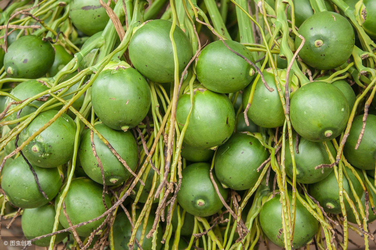 槟榔是最应该被禁止种植的水果吗