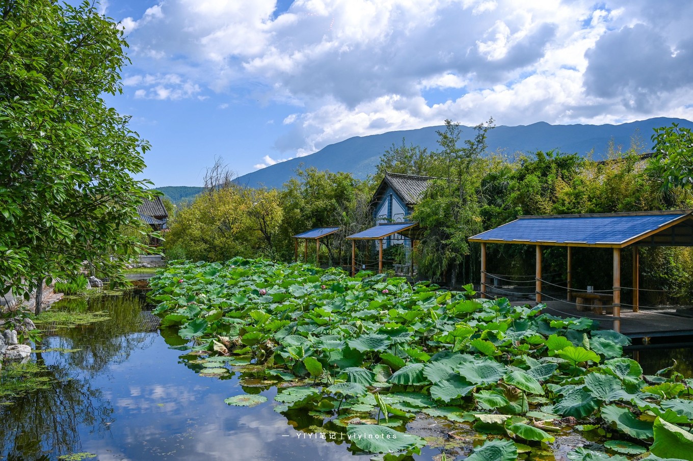 大理又一景区走红风景比杭州西湖还要美却几乎没有任何商业化