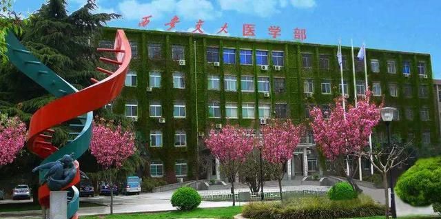 也有血缘关系,第三军医大学血缘来源于国立中正医学院(第六军医大学)