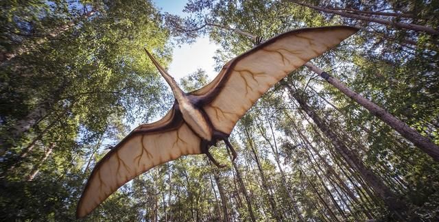 小行星撞击地球之后,为何恐龙灭绝鸟类却存活下来了?休闲区蓝鸢梦想 - Www.slyday.coM 小行星撞击地球之后,为何恐龙灭绝鸟类却存活下来了?休闲区蓝鸢梦想 - Www.slyday.coM