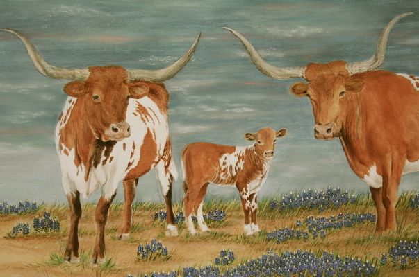 月老姻缘簿肖牛属牛的人最佳的婚配对象别放手了