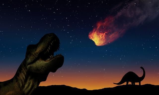 小行星撞击地球之后,为何恐龙灭绝鸟类却存活下来了?休闲区蓝鸢梦想 - Www.slyday.coM 小行星撞击地球之后,为何恐龙灭绝鸟类却存活下来了?休闲区蓝鸢梦想 - Www.slyday.coM