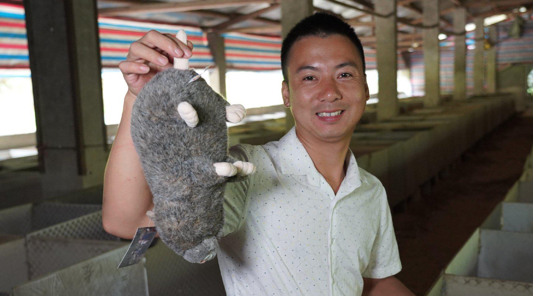 华农兄弟:好久没看过竹鼠棚了,带大家看一下,再喂一下香猪