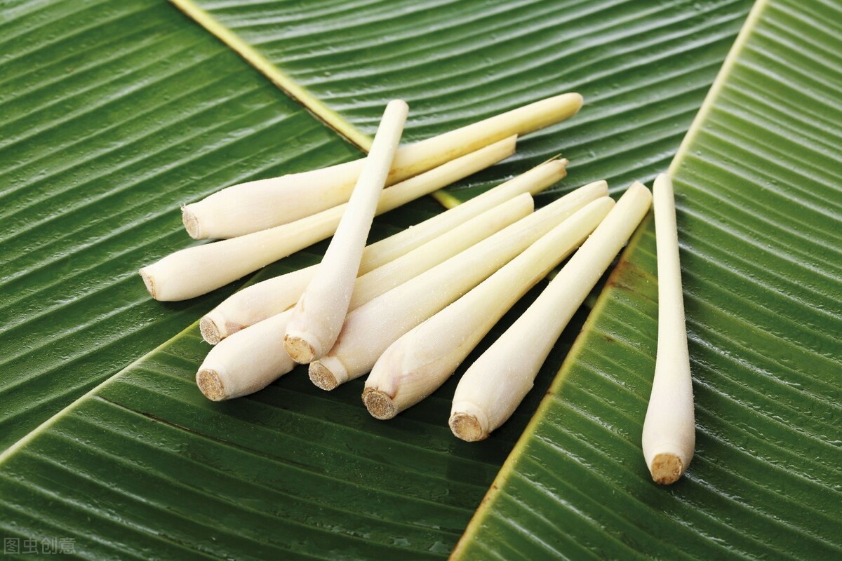 淮安有句老话,无蒲不成宴,开洋蒲菜也是淮扬菜中的一道名菜,当蒲菜