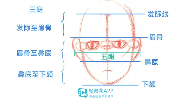 ps画人物插画五官怎么入门?基础面部五官教程!