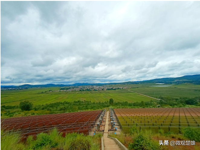 云南国企排名2020_2020云南省非公企业100强营运情况分析报告