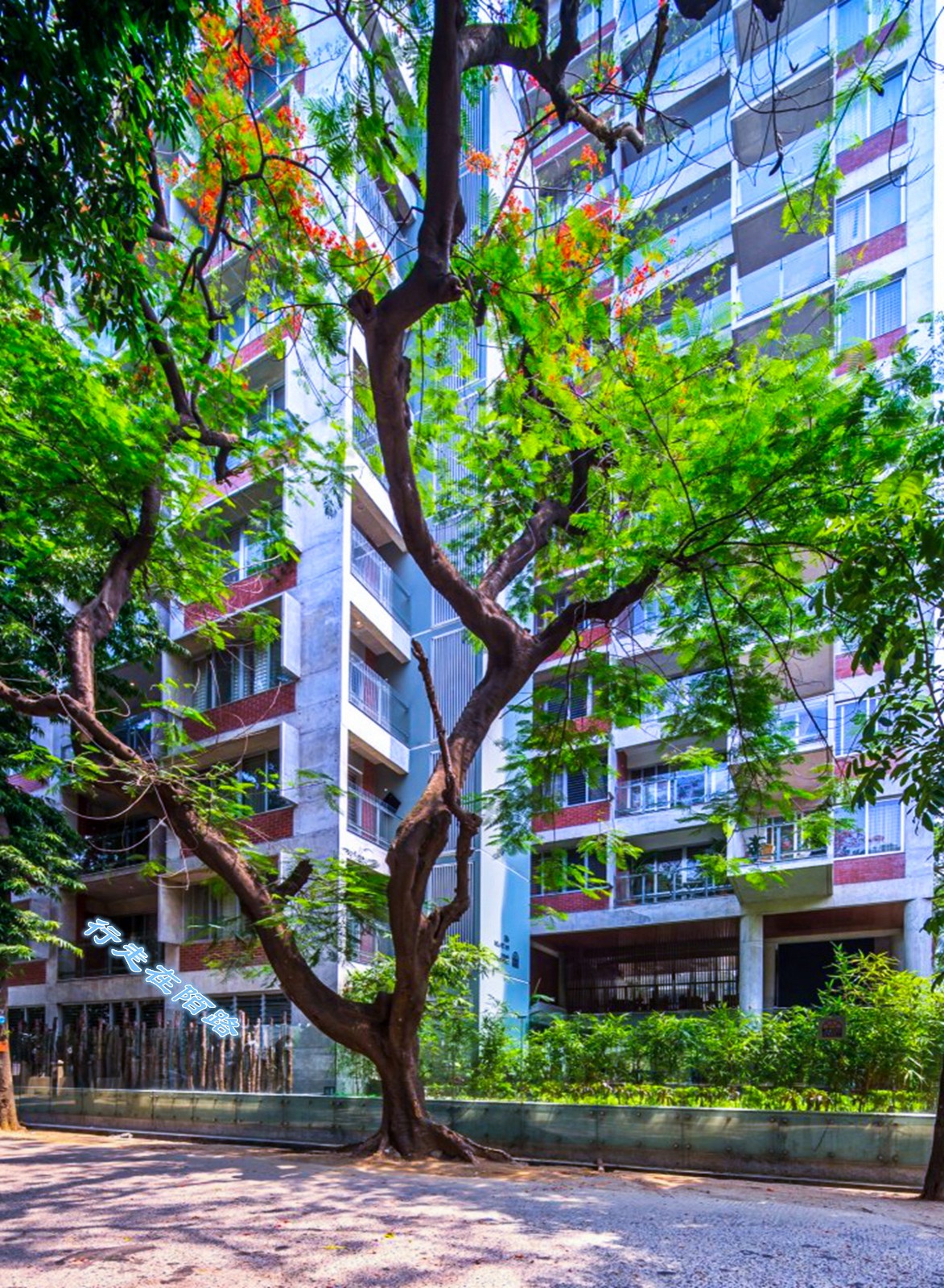 cbd外围都是达卡富人区,各种别墅和高端公寓林立,确实如向导所说的