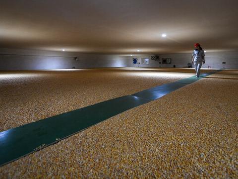 探访"大国粮仓"