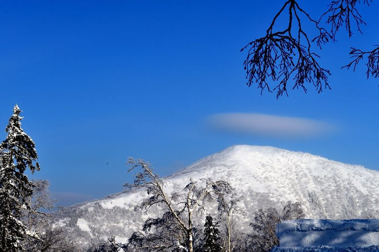 哈尔滨馒头山走红人称黑南张家界