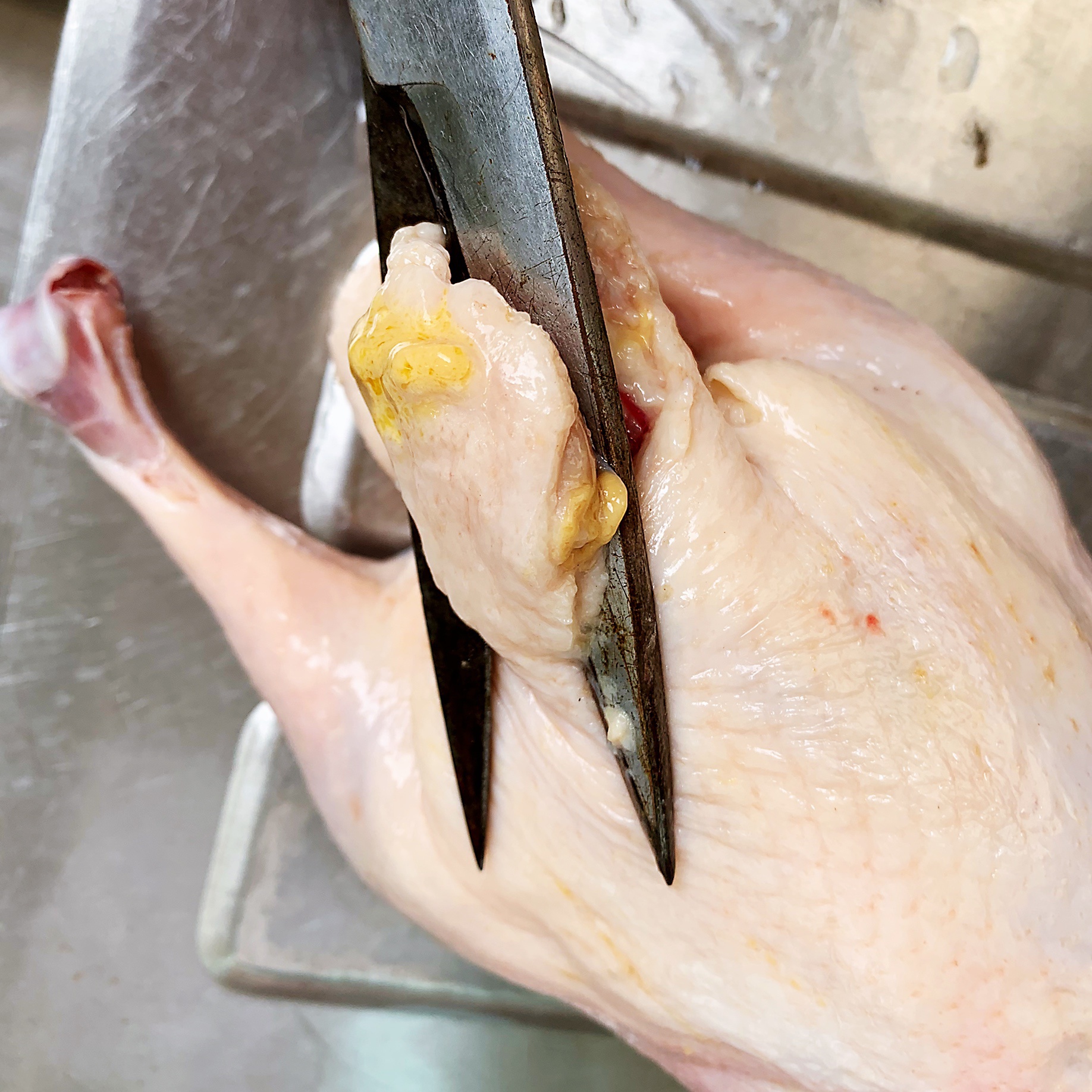 1,鸭子清洗干净,最主要是鸭屁股剪掉,鸭头剪开处理干净,鸭腹部的血块