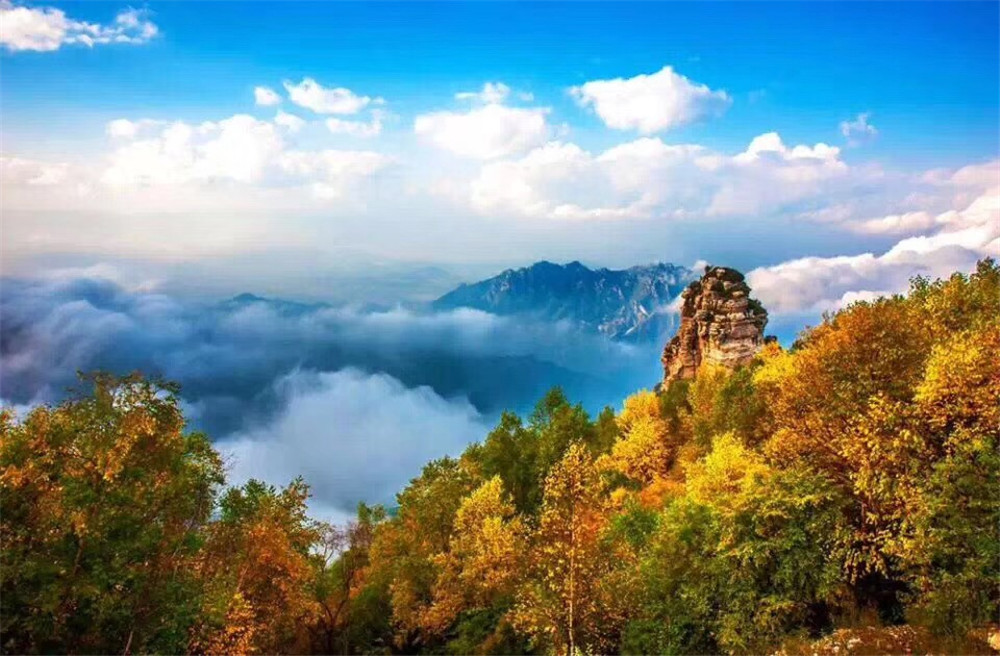 保定这座山是国家五a景区,秋季风景如画,仿佛来到了童话世界|红桦林