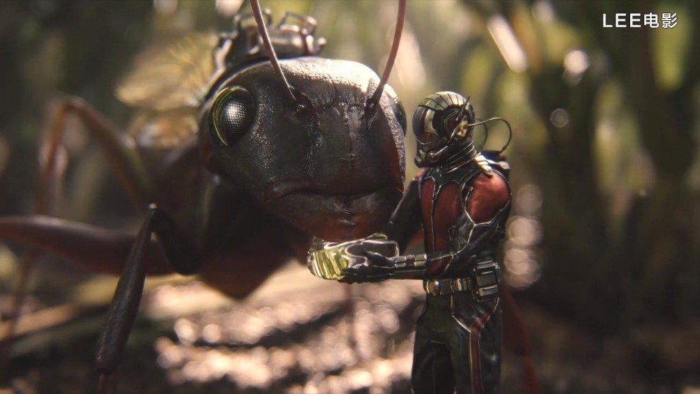 为您推荐: 蚂蚁男孩:小男孩被蚂蚁咬了一口,身体发生变异,力大无穷 为