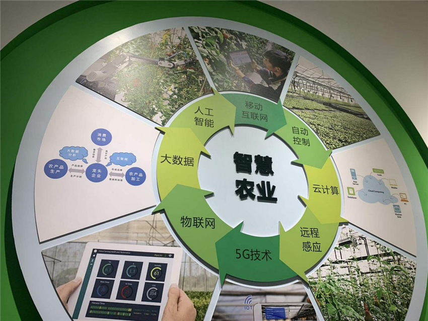 2020线上智博会传递智慧声音数字时代下农业凝聚更多发展新势力