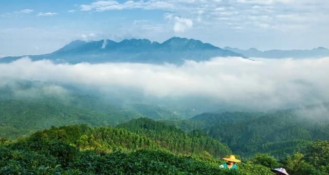 昭平人口分布_贺州各区县人口一览:平桂区40.42万,昭平县33.01万