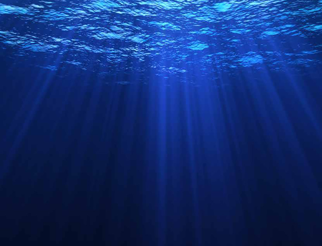 2000米深海出现庞大结构疑似机场建筑地球文明在无限轮回吗