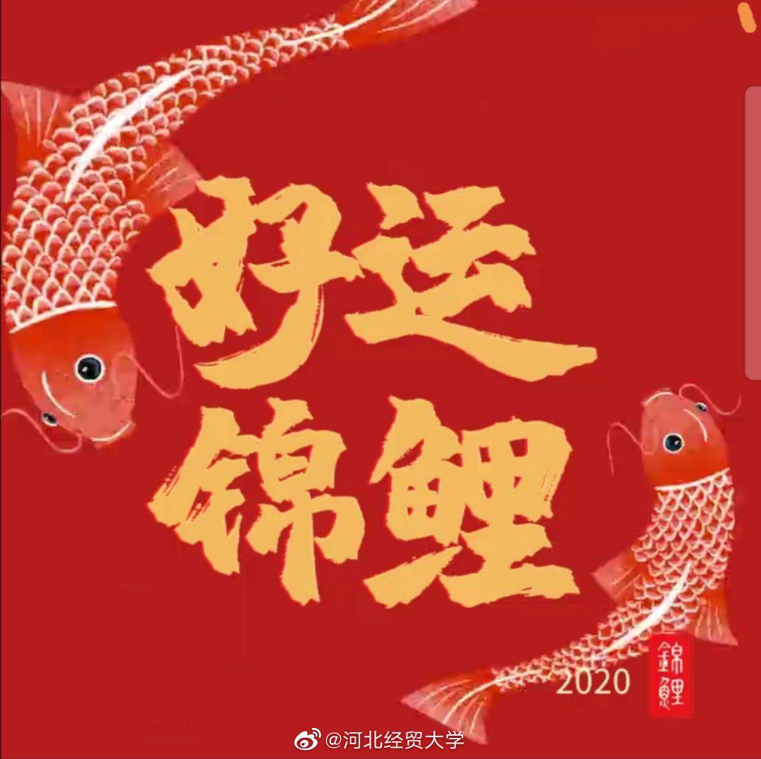 经小贸携锦鲤祝即将考试的大家考试顺利