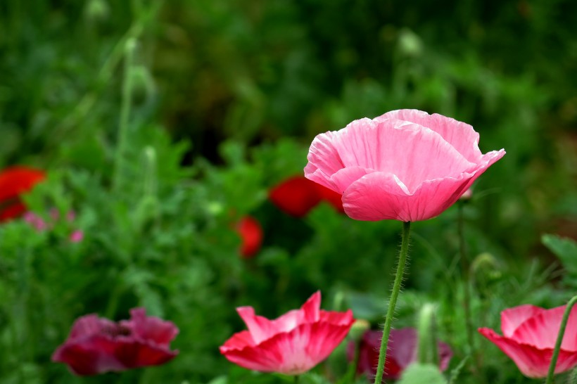 与这三大星座相处巨蟹座很难不动心
