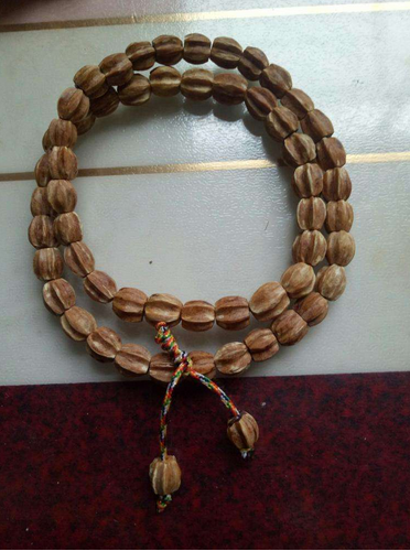 以前当废物随便丢,如今却成宝贝,每斤50元高价收,这是为啥?