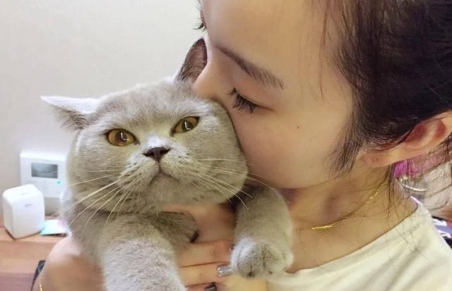 猫咪拒绝被亲吻,并不是嫌弃主人,相反,这是爱主人的表现