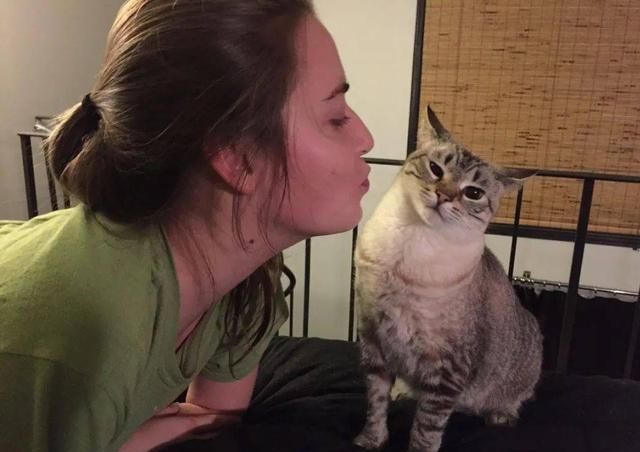 猫咪拒绝被亲吻,并不是嫌弃主人,相反,这是爱主人的表现