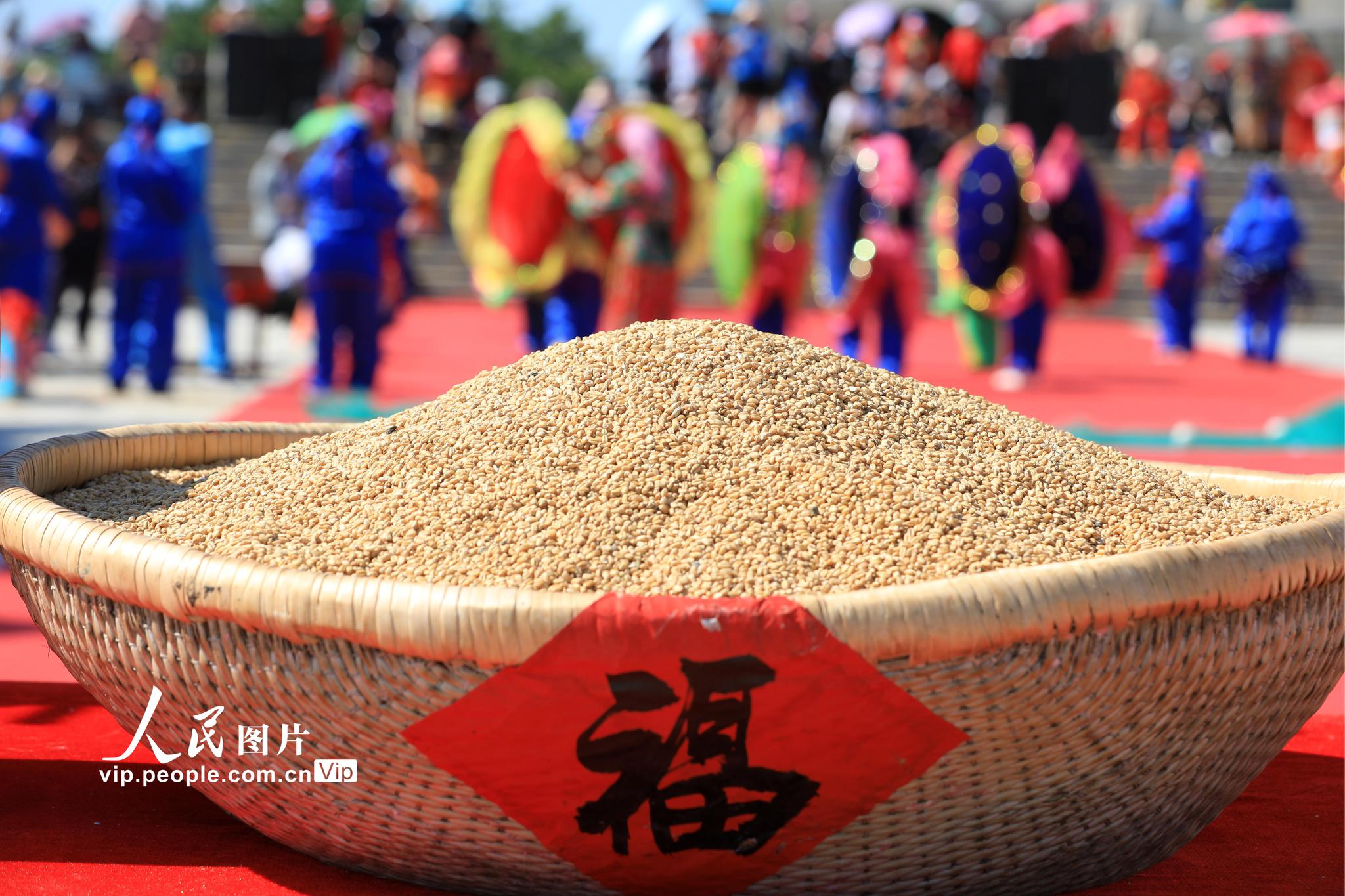 山东荣成:农民丰收节"晒"丰收