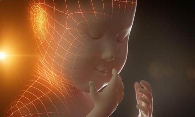 孕中期吃这三类食物,能让宝宝出生后更聪明,孕妇要注意补充休闲区蓝鸢梦想 - Www.slyday.coM