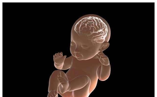 孕中期吃这三类食物,能让宝宝出生后更聪明,孕妇要注意补充休闲区蓝鸢梦想 - Www.slyday.coM