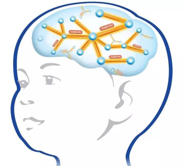 孕中期常吃这三类食物,有利宝宝大脑发育,孕妇自己也有好处休闲区蓝鸢梦想 - Www.slyday.coM 孕中期常吃这三类食物,有利宝宝大脑发育,孕妇自己也有好处休闲区蓝鸢梦想 - Www.slyday.coM