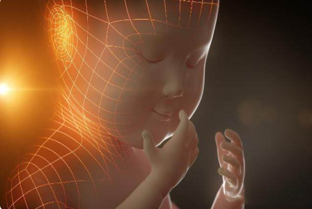 孕中期常吃这三类食物,有利宝宝大脑发育,孕妇自己也有好处休闲区蓝鸢梦想 - Www.slyday.coM 孕中期常吃这三类食物,有利宝宝大脑发育,孕妇自己也有好处休闲区蓝鸢梦想 - Www.slyday.coM