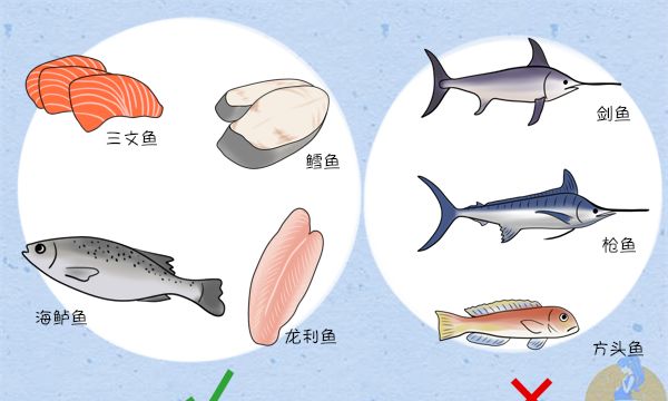 三类淡水鱼含有丰富的DHA,价格便宜营养还高,别再说你不知道