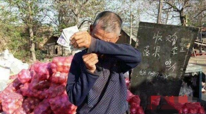 商家悲情牌滞销大爷成网红网友难怪滞销啥都种