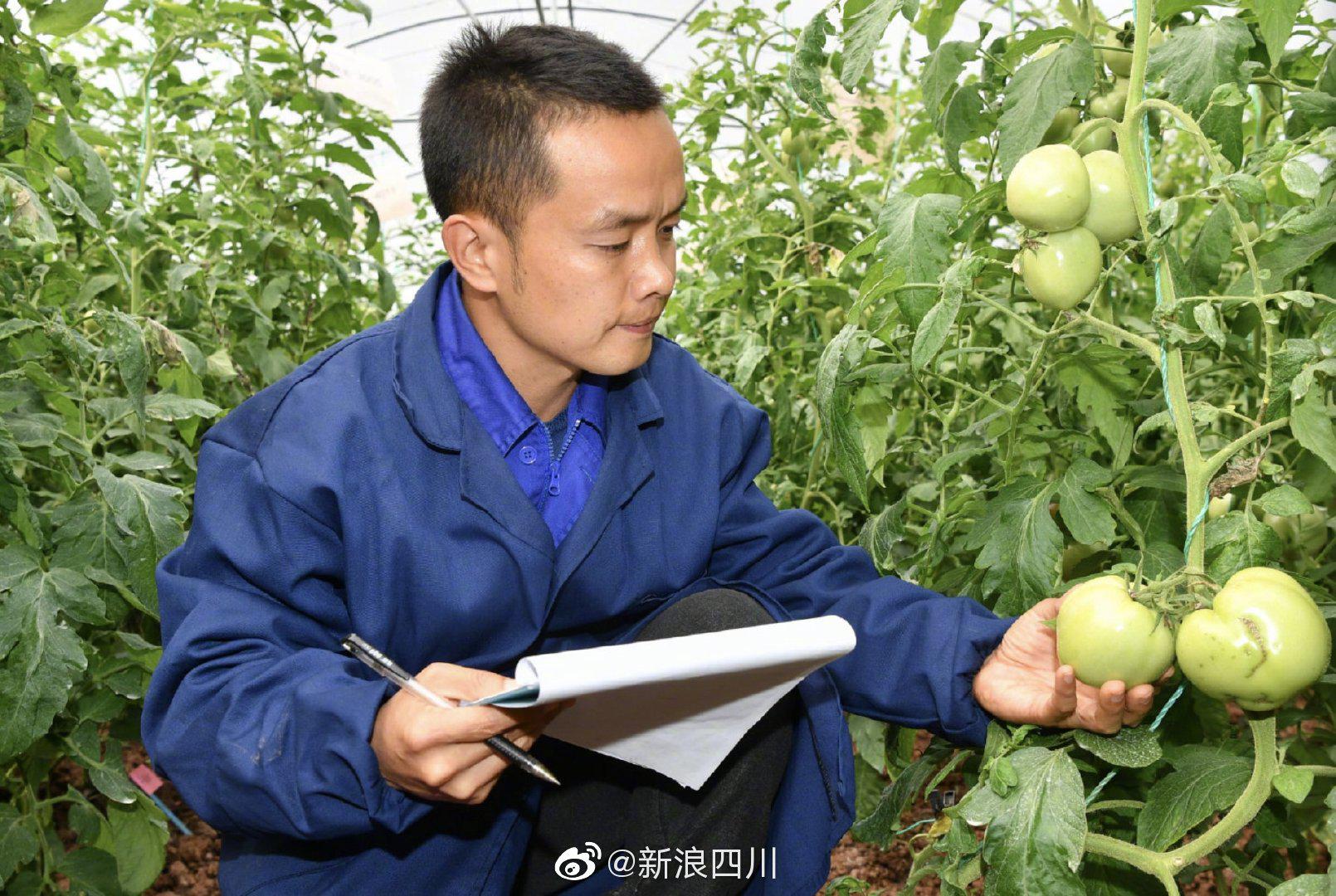 80后农学硕士张保才,扎根农村八年