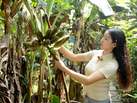 阳小月吖的主页_新浪网