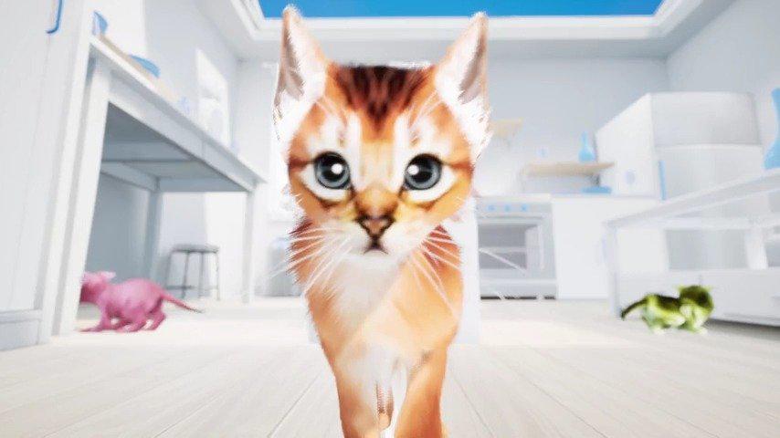 Hairtouchvr控制器 让你在vr中体验 吸猫 吸猫 Vr 虚拟现实 新浪科技 新浪网 Hairtouchvr控制器 让你在vr中体验 吸猫 吸猫 Vr 虚拟现实 新浪科技 新浪网