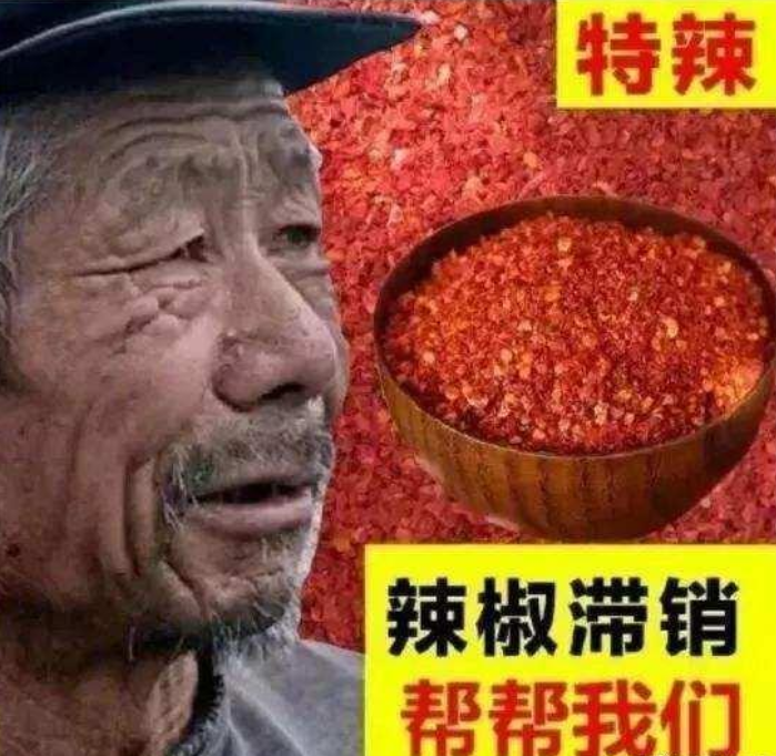 商家悲情牌滞销大爷成网红网友难怪滞销啥都种