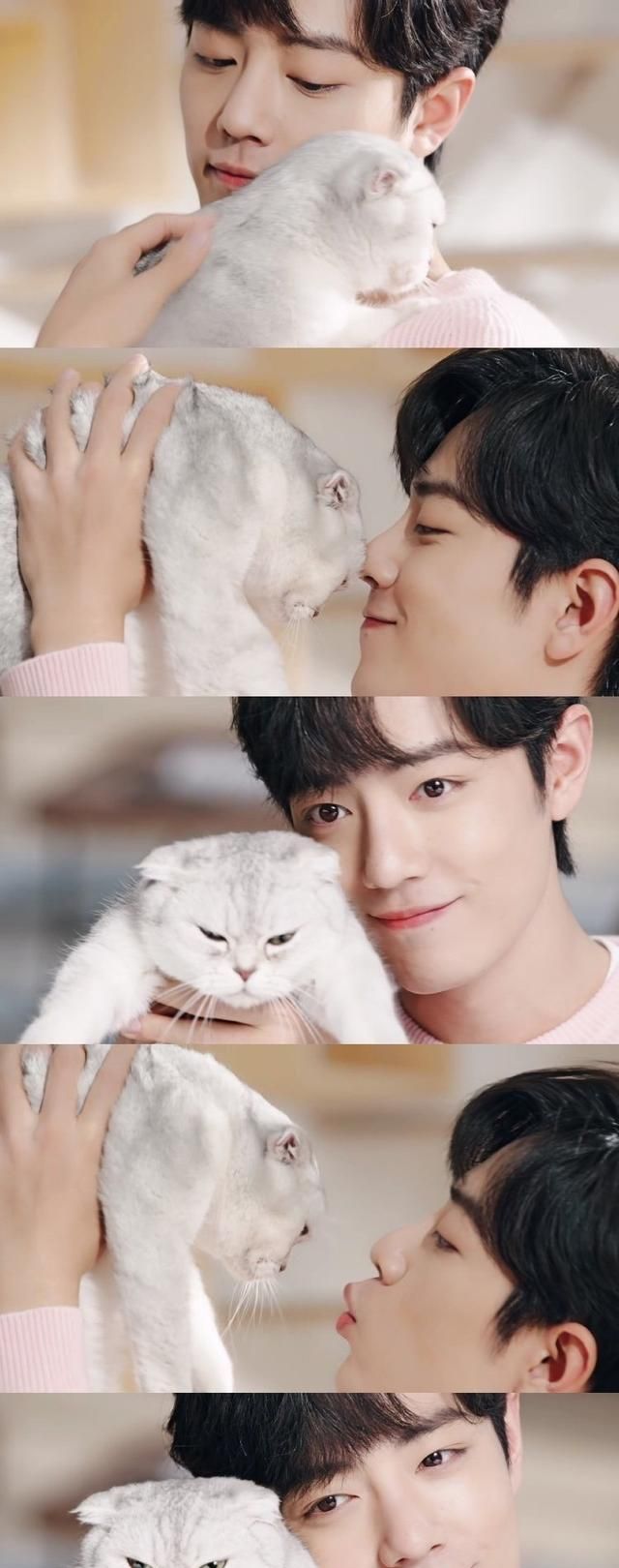 世事多舛肖战的欢乐却从来简单仅仅只需一只可爱的猫咪