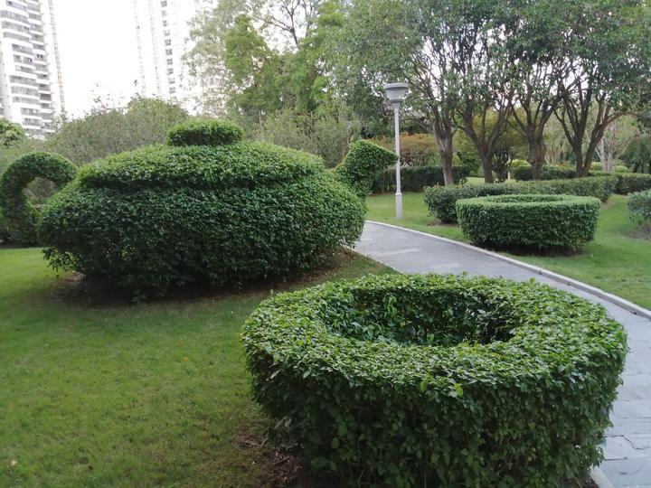 南宁金花茶公园里形象逼真的绿植造型