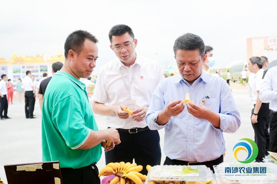 "庆丰收.迎小康"南沙区农业集团摄影大赛活动