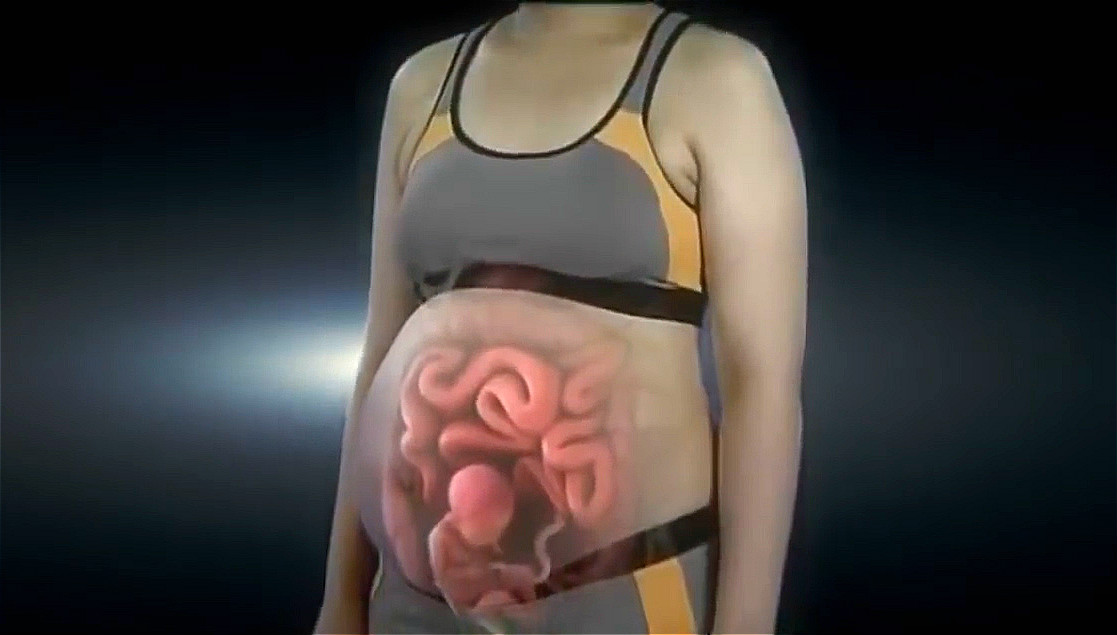 孕妇的“肚量”有多大？一张图告诉你答案！孕妇的内脏都被挤没了休闲区蓝鸢梦想 - Www.slyday.coM