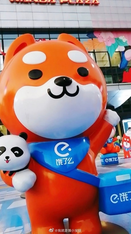 全网首位宠物主播登场,三次元的"饿小宝"征服万千网友