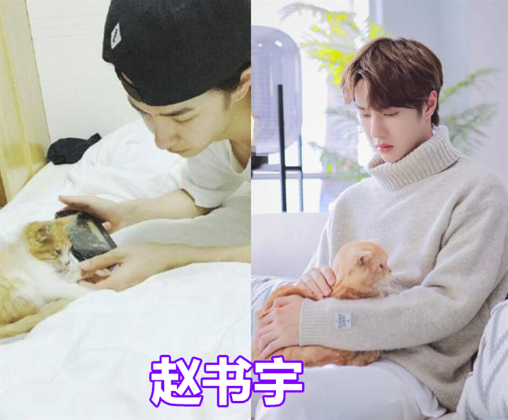 不少的真粉都知道赵书宇是一个渣男,并且是王一博接的第一个角色,网