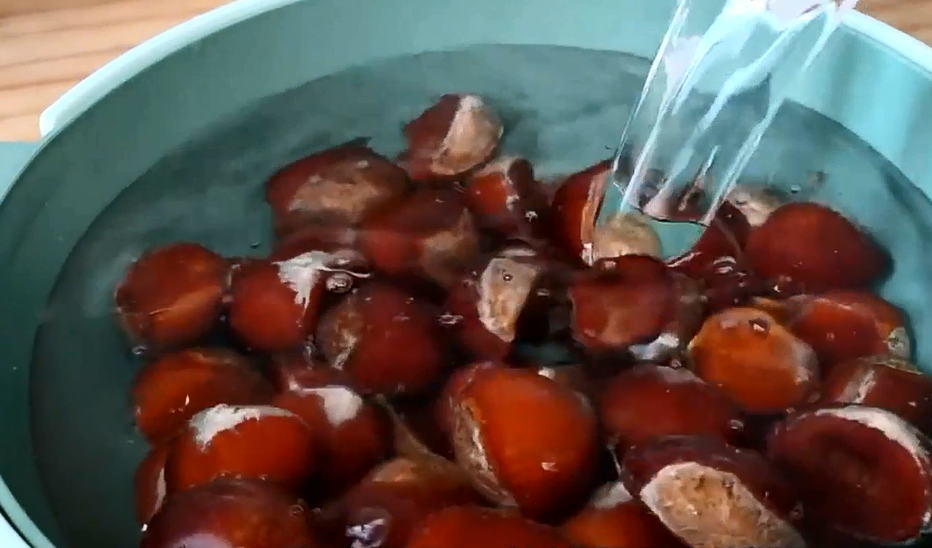 板栗好吃难剥皮？农村人教你简单做法，板栗绵软香甜个个自动脱皮休闲区蓝鸢梦想 - Www.slyday.coM