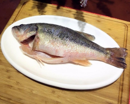 买鲈鱼时不要看大小挑选学会这几招老板一看你就是行家