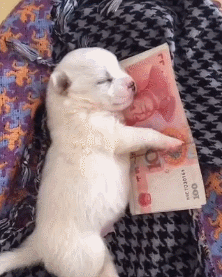 318_396竖版 竖屏gif 动态图 动图