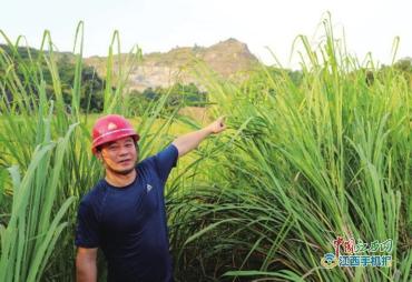 绿染矿山满目春——安福县推进绿色矿山建设纪实（图）