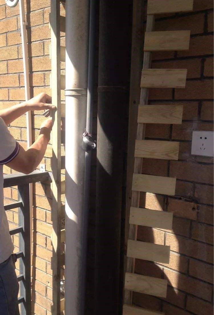 开发商怎么想的,公用雨水管不好好呆外墙上,杵阳台内多碍事