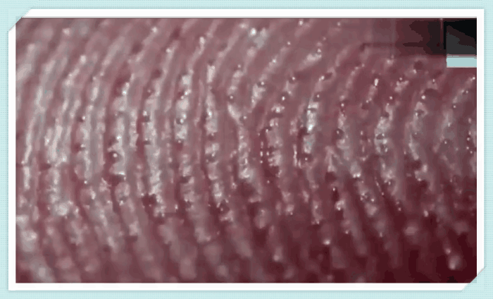 女子无意中将手指纹放大100倍看见这有趣的画面