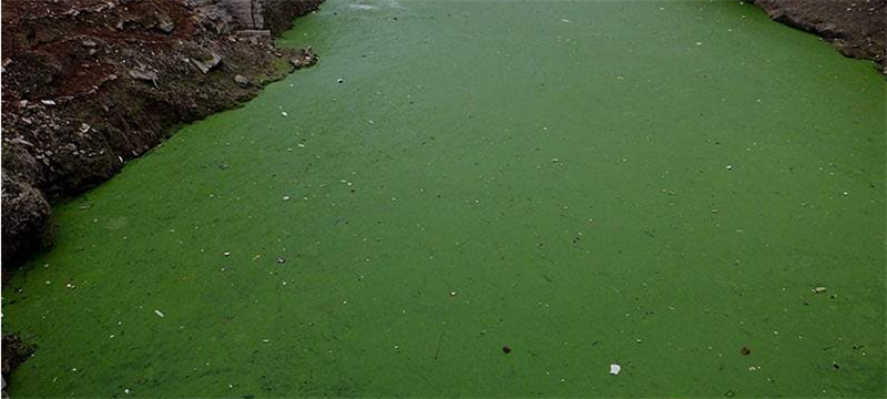污水除磷有哪几种方法怎样进行选择