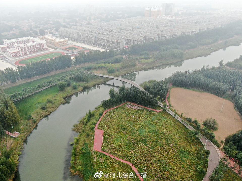 探访泊头市大运河生态公园