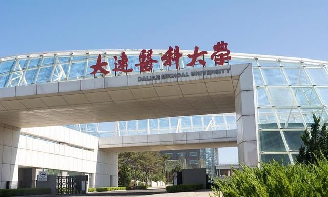 顶尖的医学人才几乎都集中在参与过高校合并的985院校(比如北京大学